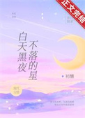 白天黑夜不落的星